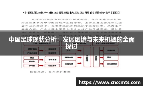 中国足球现状分析：发展困境与未来机遇的全面探讨