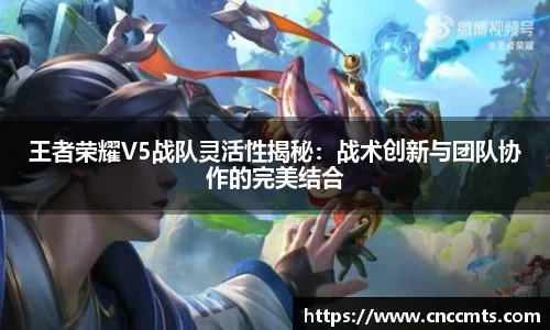 王者荣耀V5战队灵活性揭秘：战术创新与团队协作的完美结合